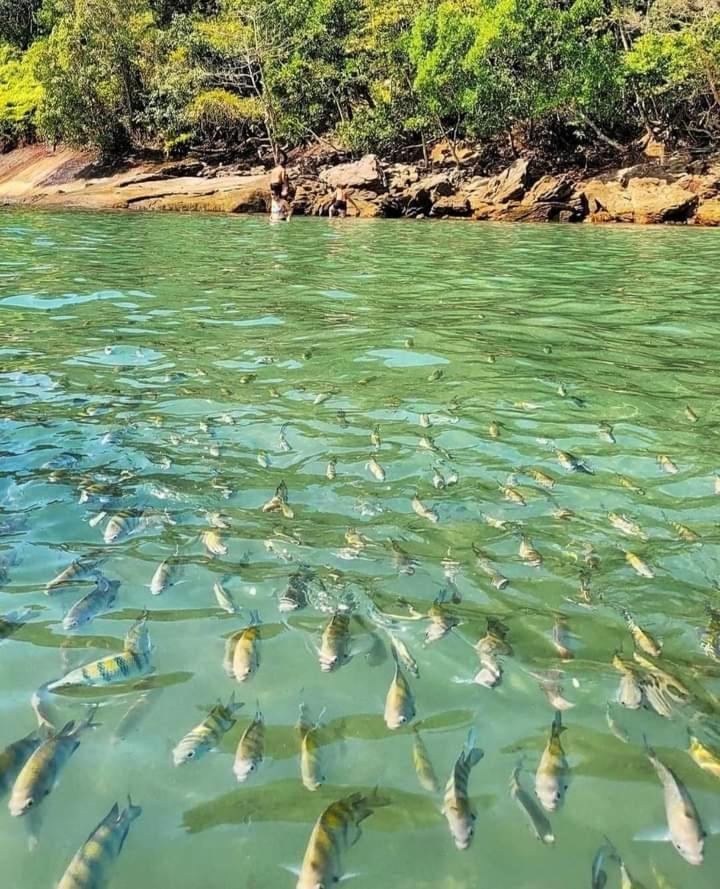 Praia Grande Ubatuba Casa Nova 5D Экстерьер фото